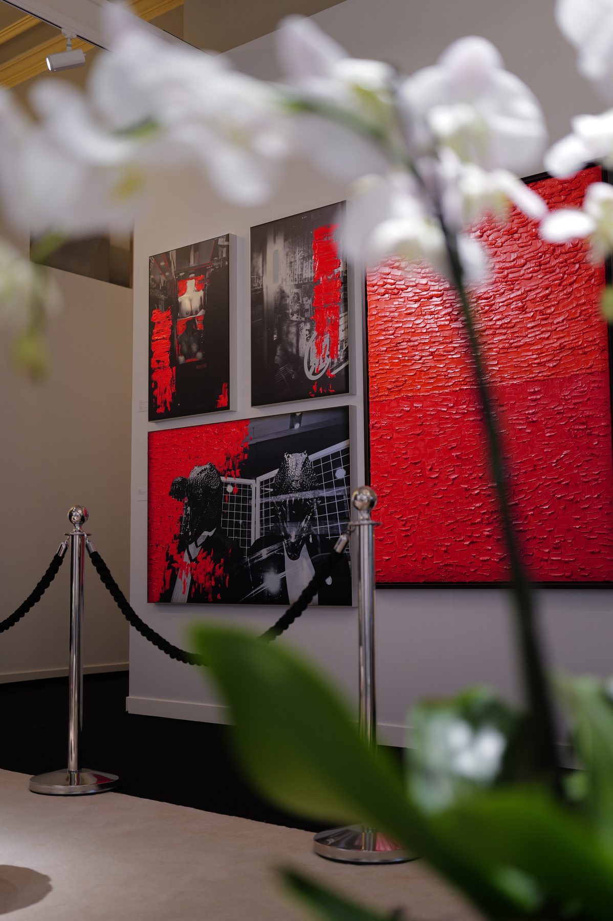 Installation view
