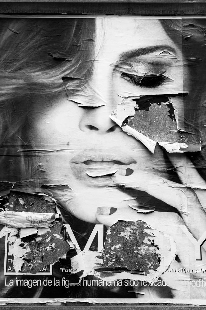 Fading Beauty, image 1
