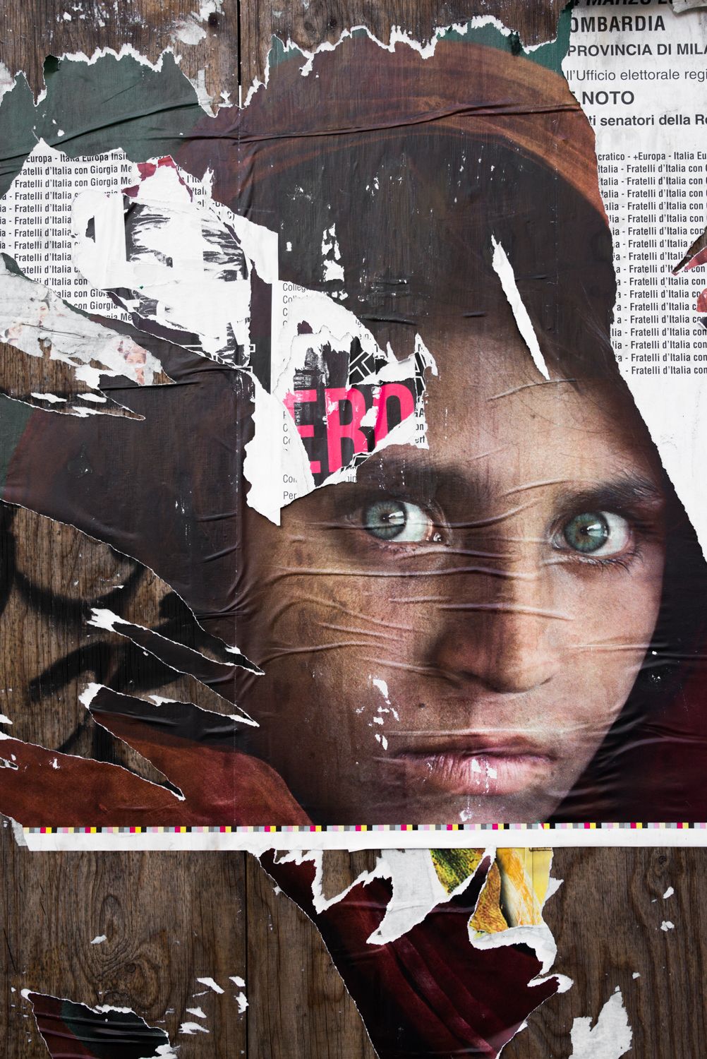 Fading Beauty, image 7