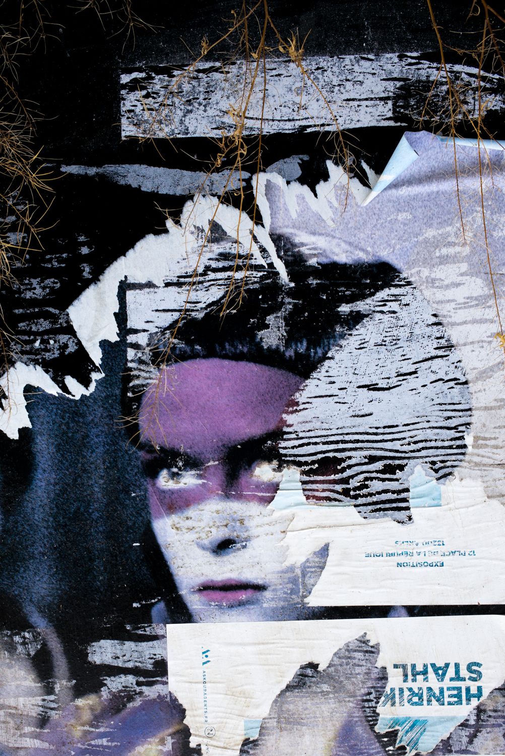 Fading Beauty, image 8
