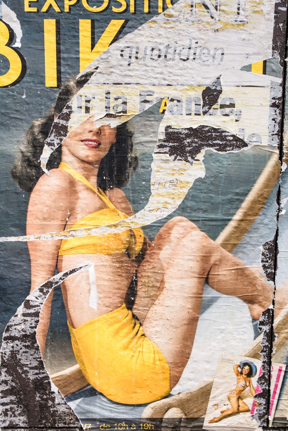 Fading Beauty, image 11