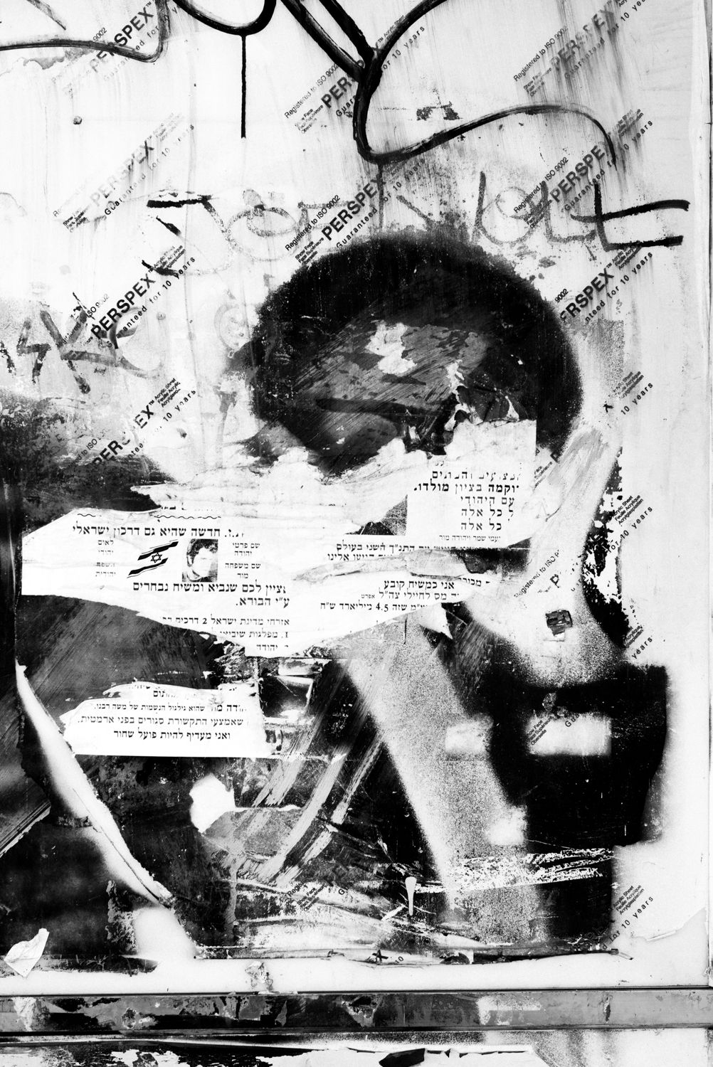 Fading Beauty, image 12