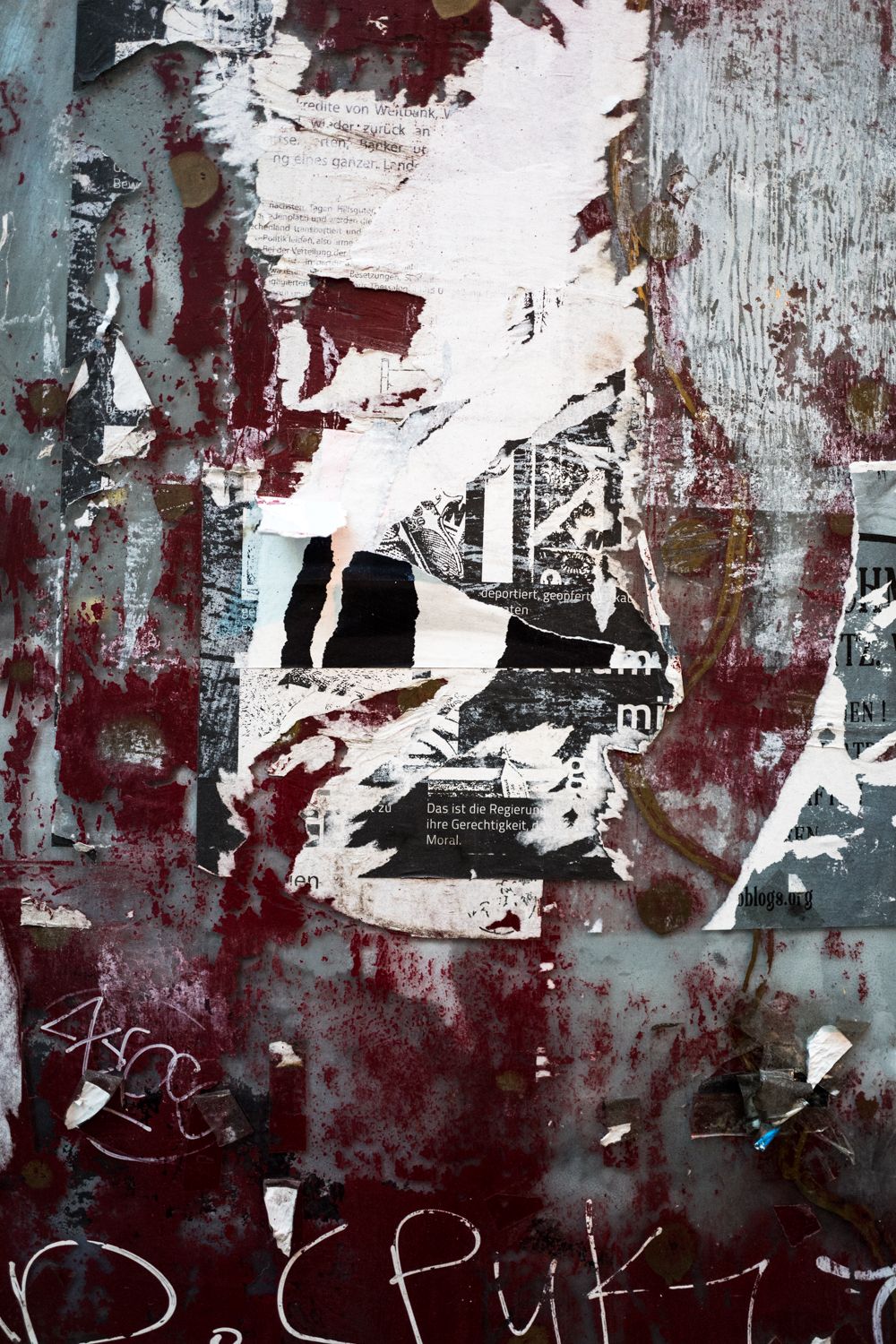 Fading Beauty, image 13