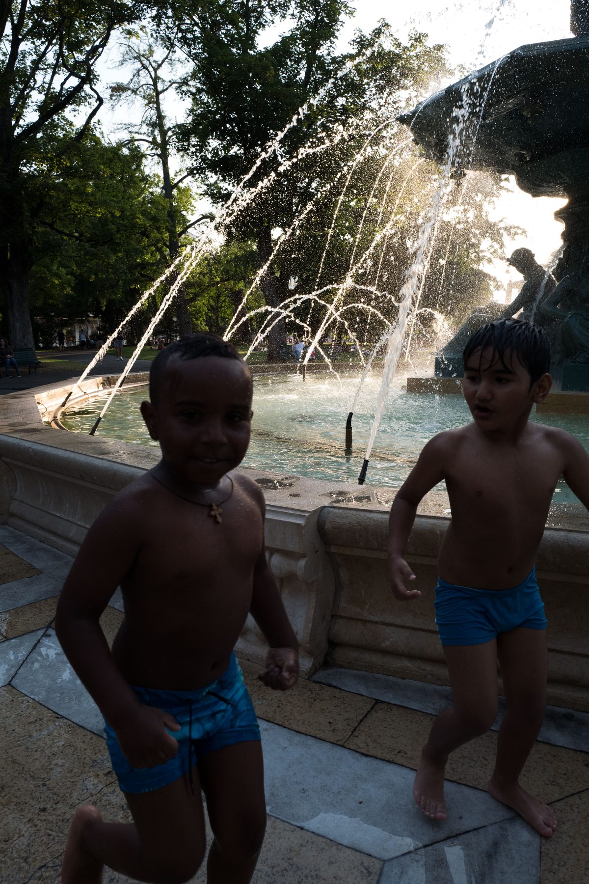 Geneva, image 19