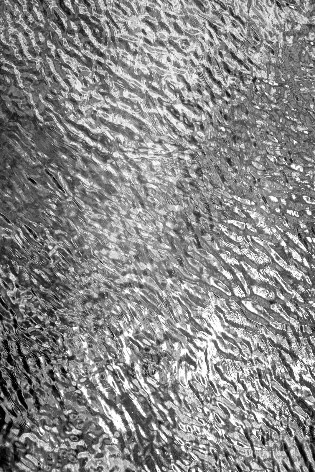 Marée Noire, image 3