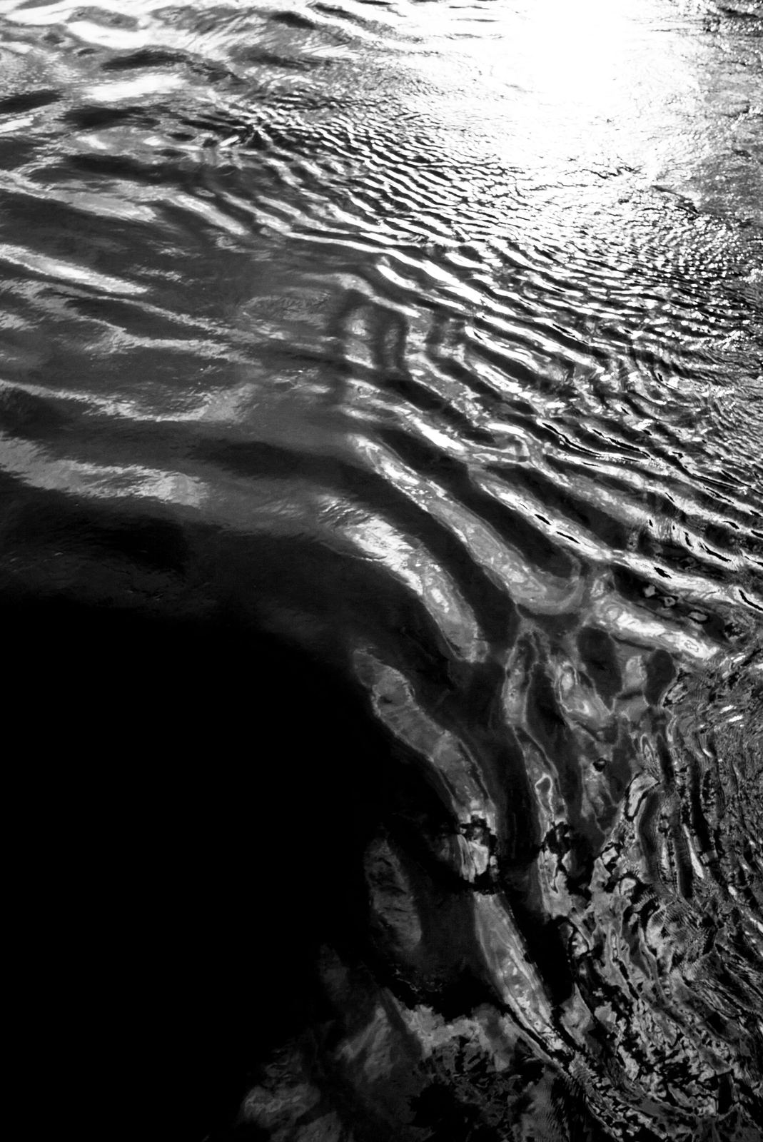 Marée Noire, image 4