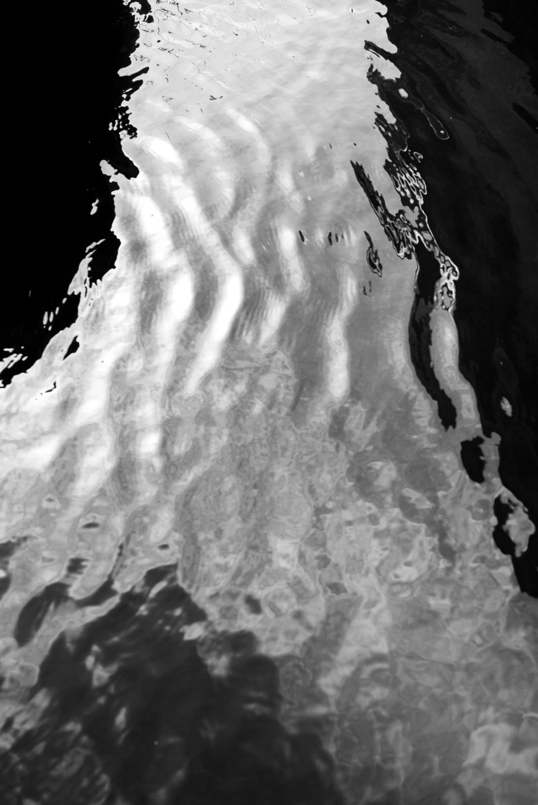 Marée Noire, image 6