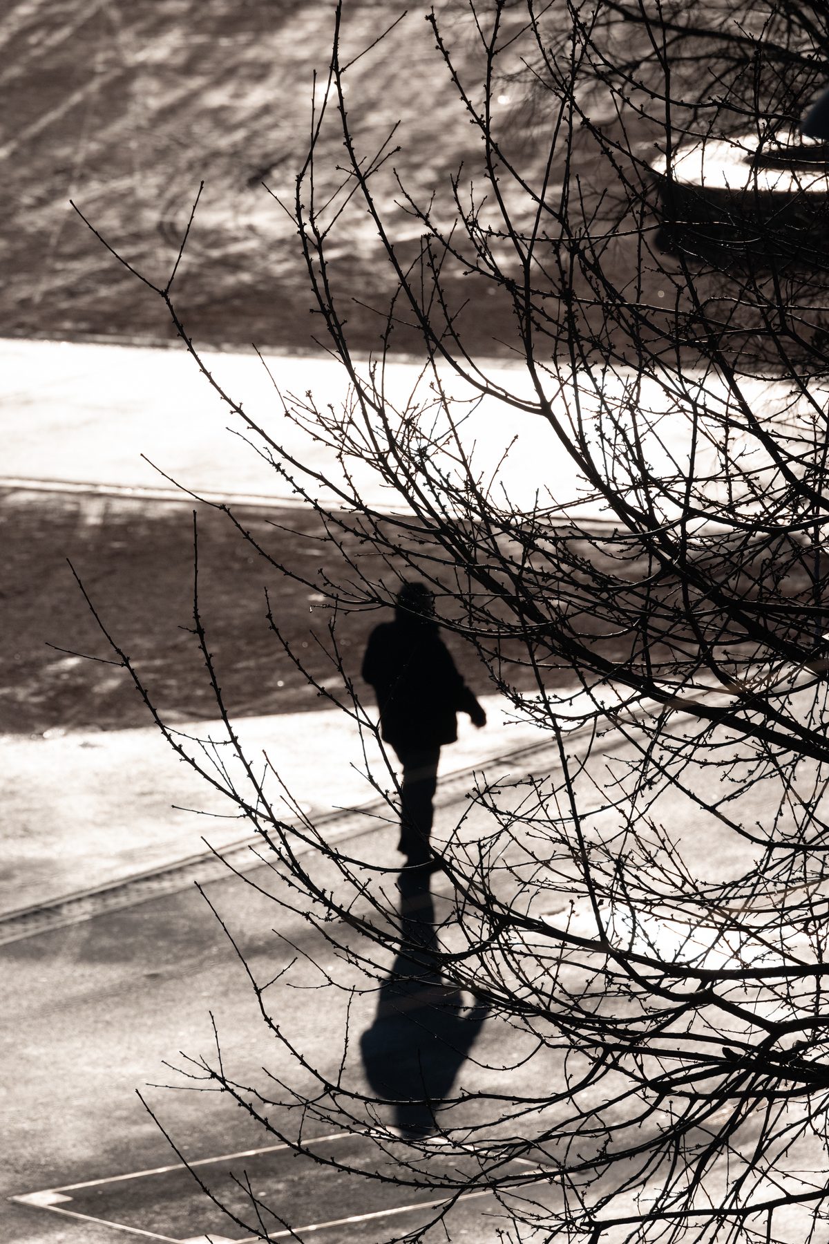 Out of My Window, image 2