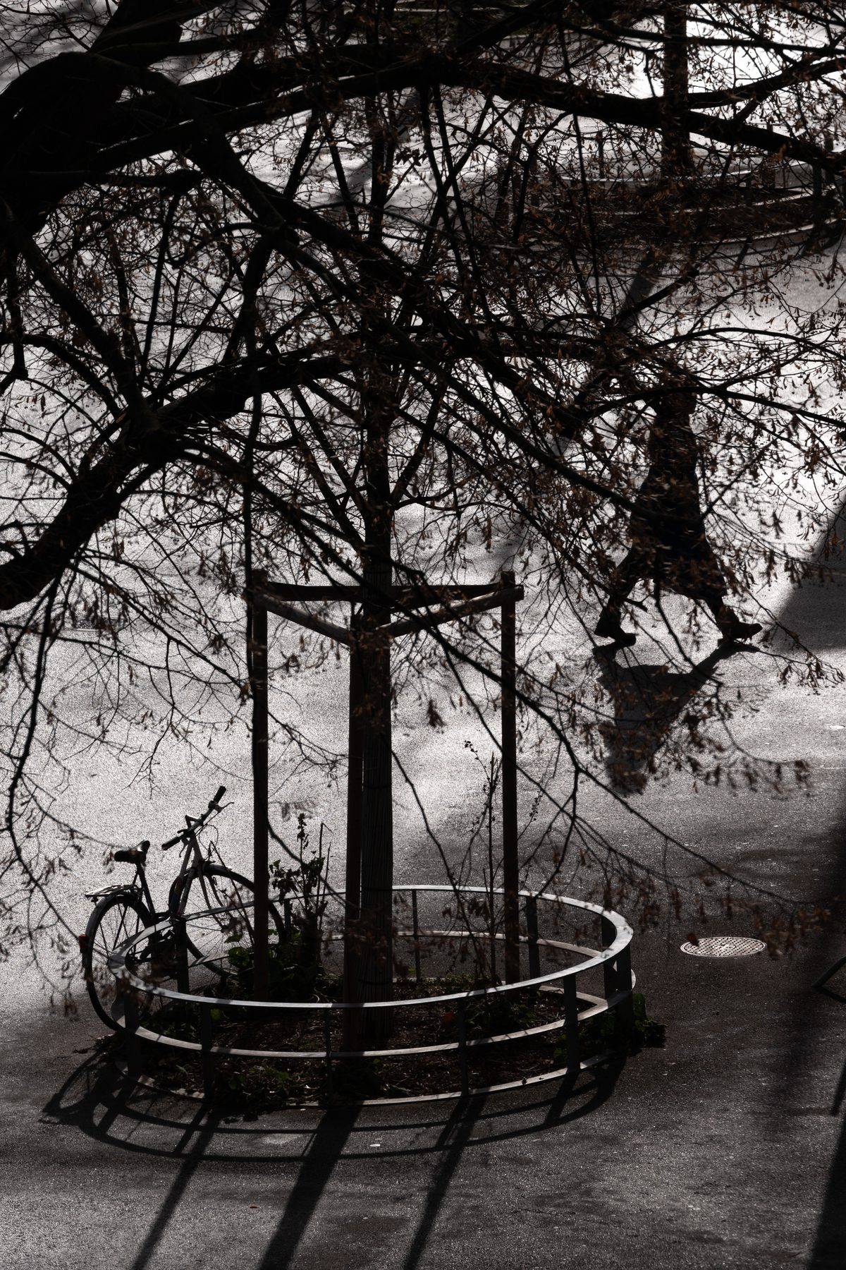 Out of My Window, image 7