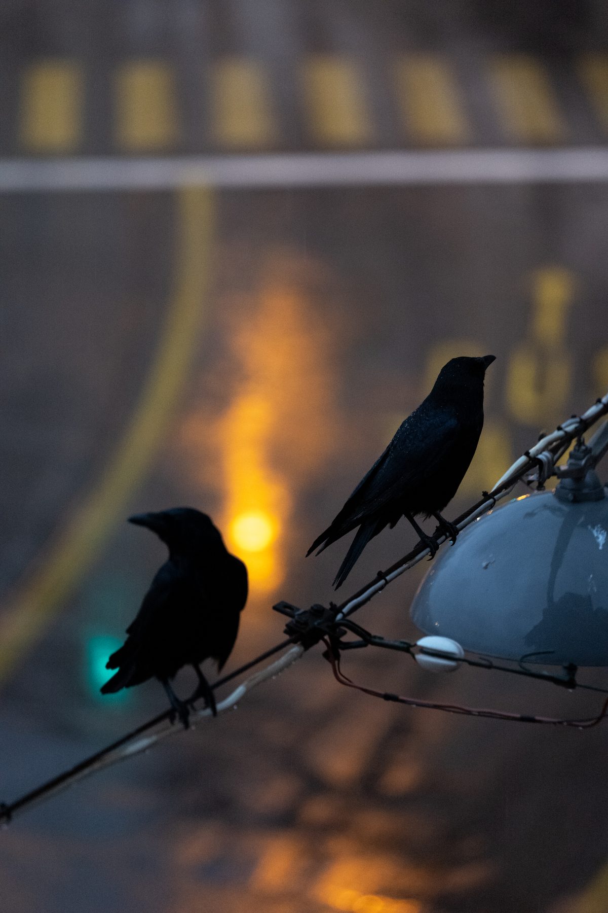 Out of My Window, image 10