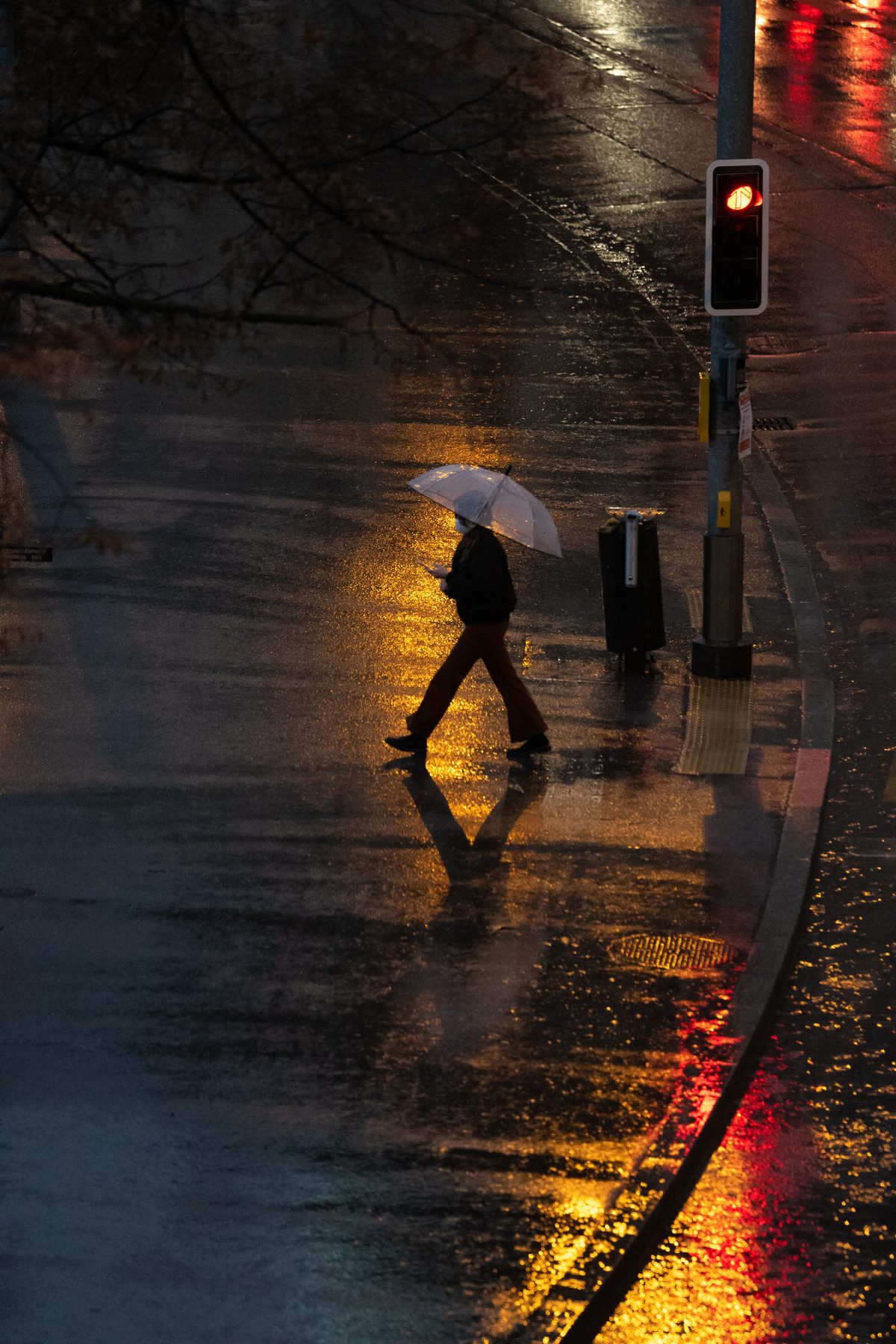 Out of My Window, image 11