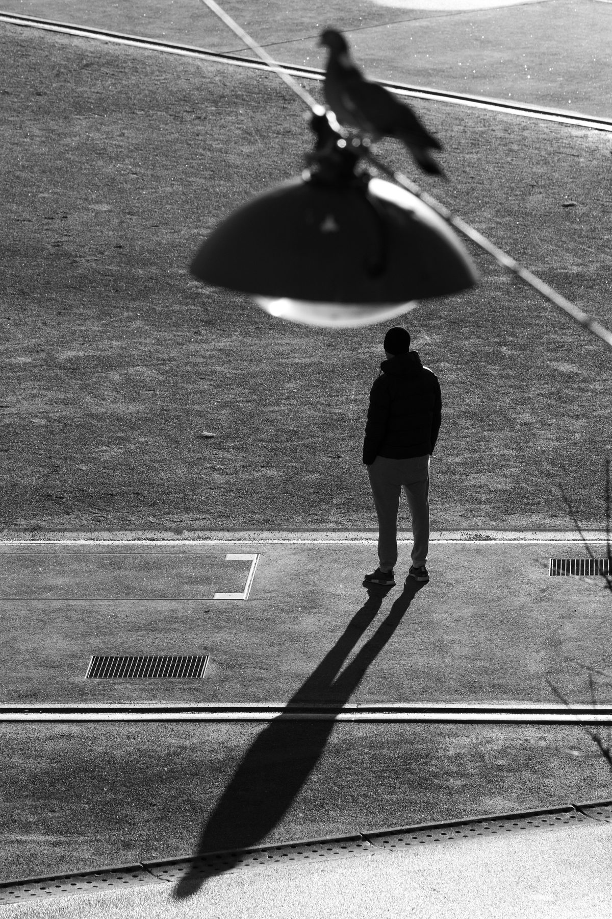 Out of My Window, image 12