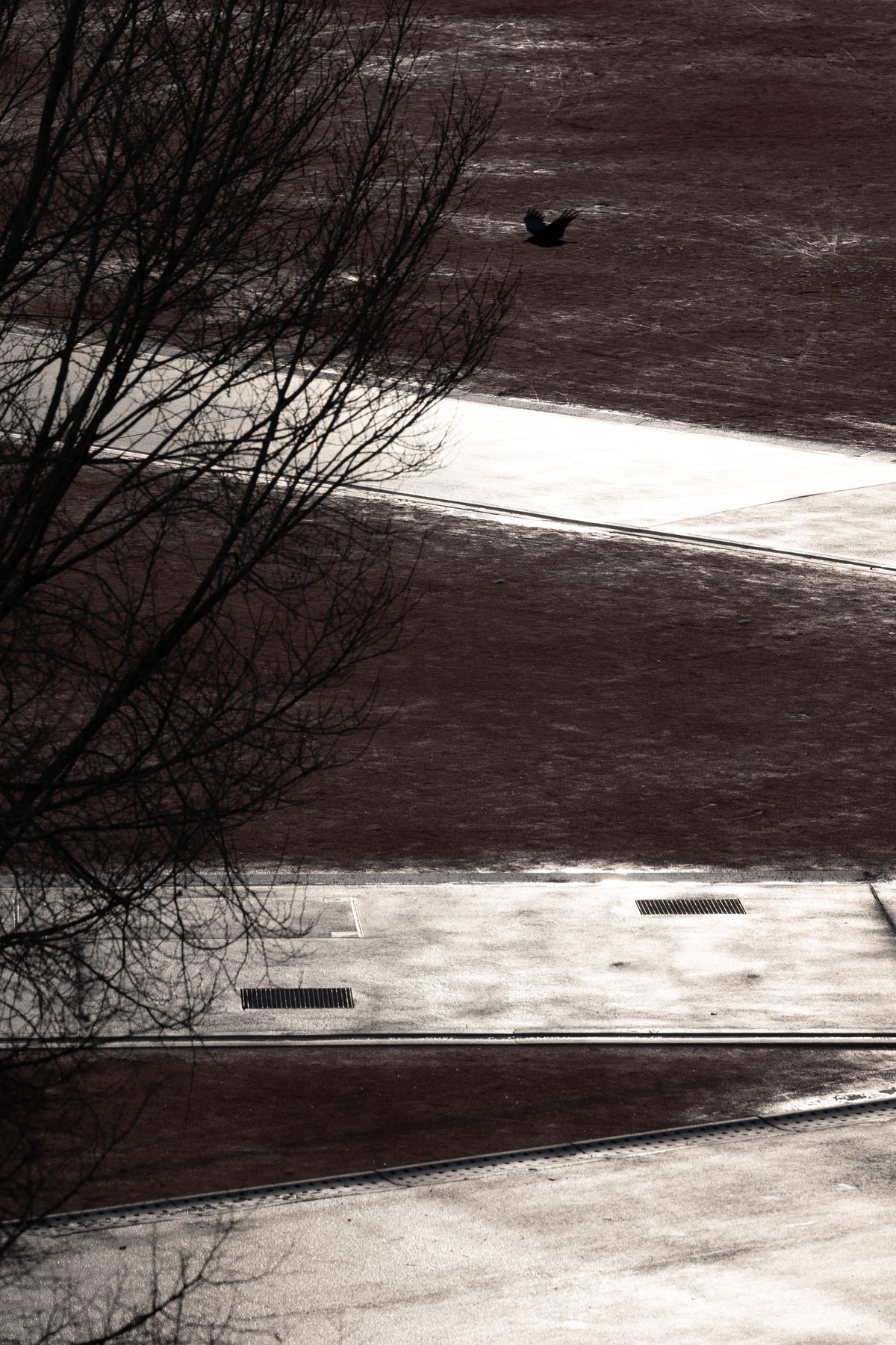 Out of My Window, image 13