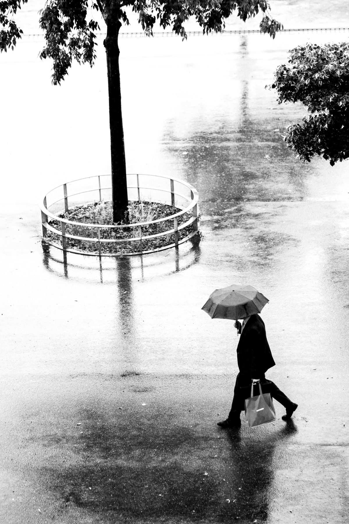 Out of My Window, image 14