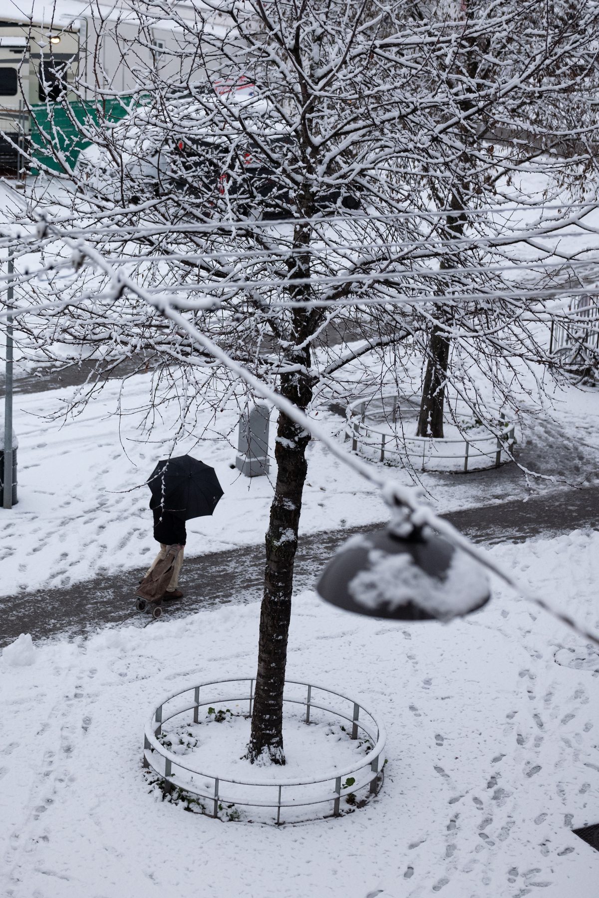 Out of My Window, image 15