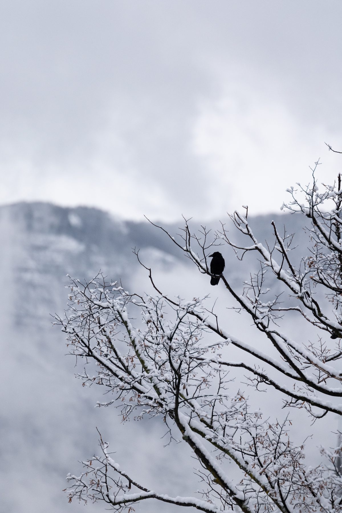 Out of My Window, image 16