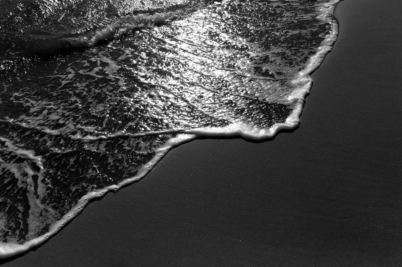 Wild Camargue, image 2