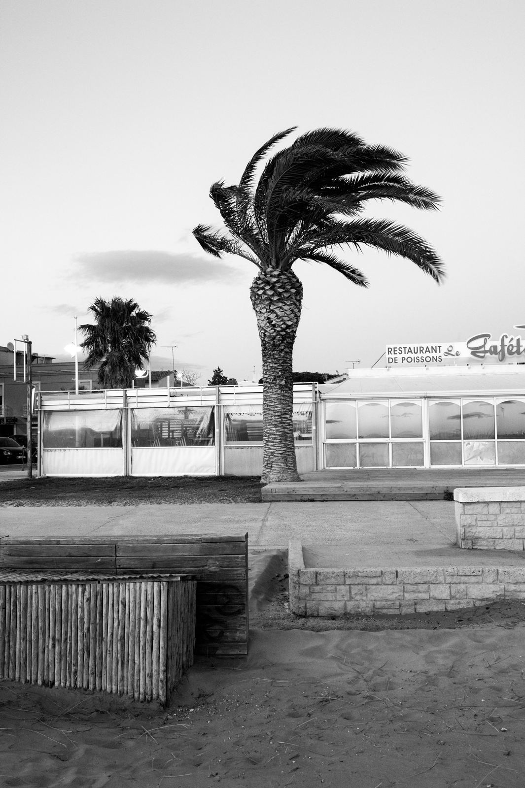 Wild Camargue, image 7
