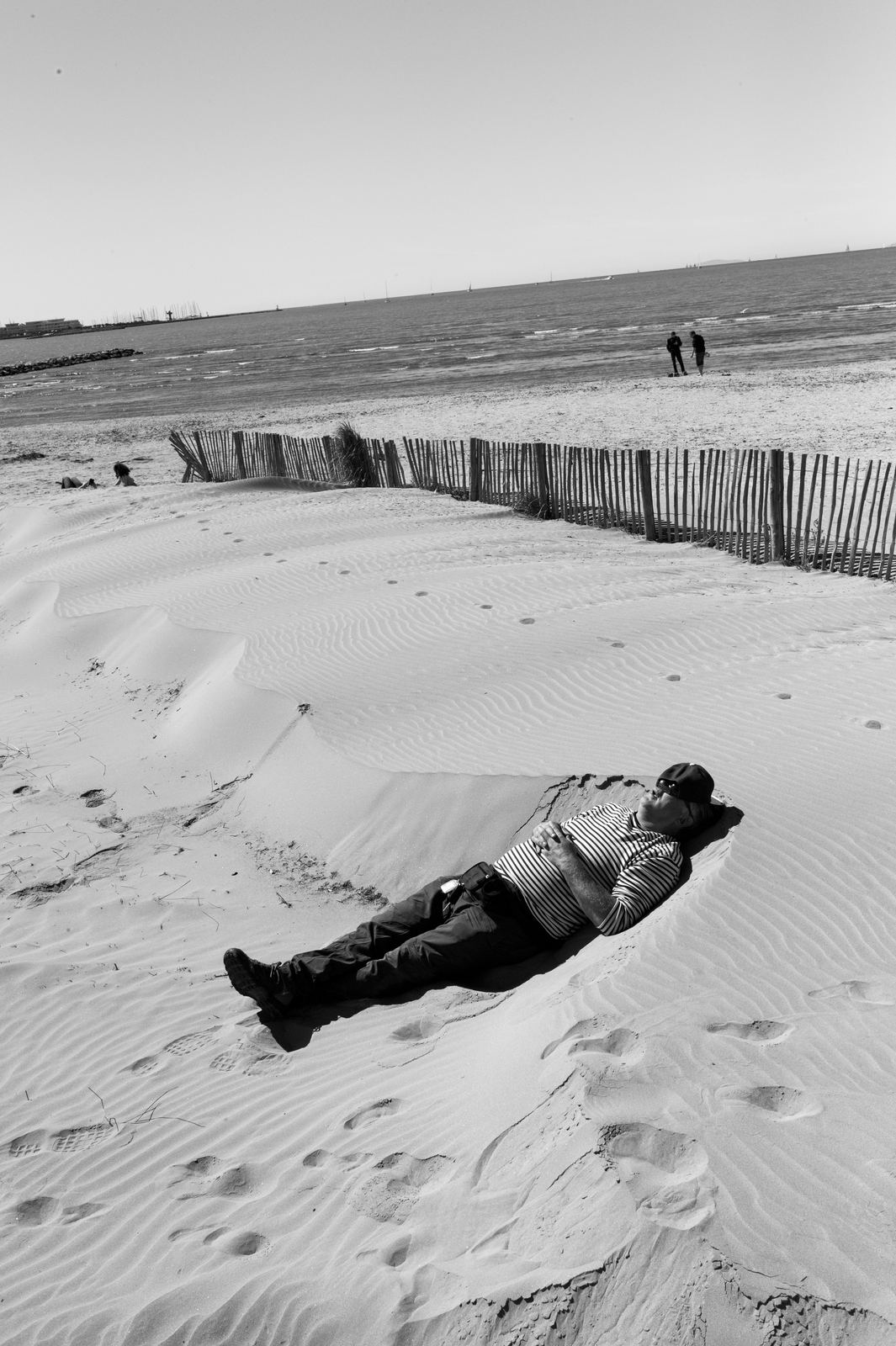 Wild Camargue, image 13