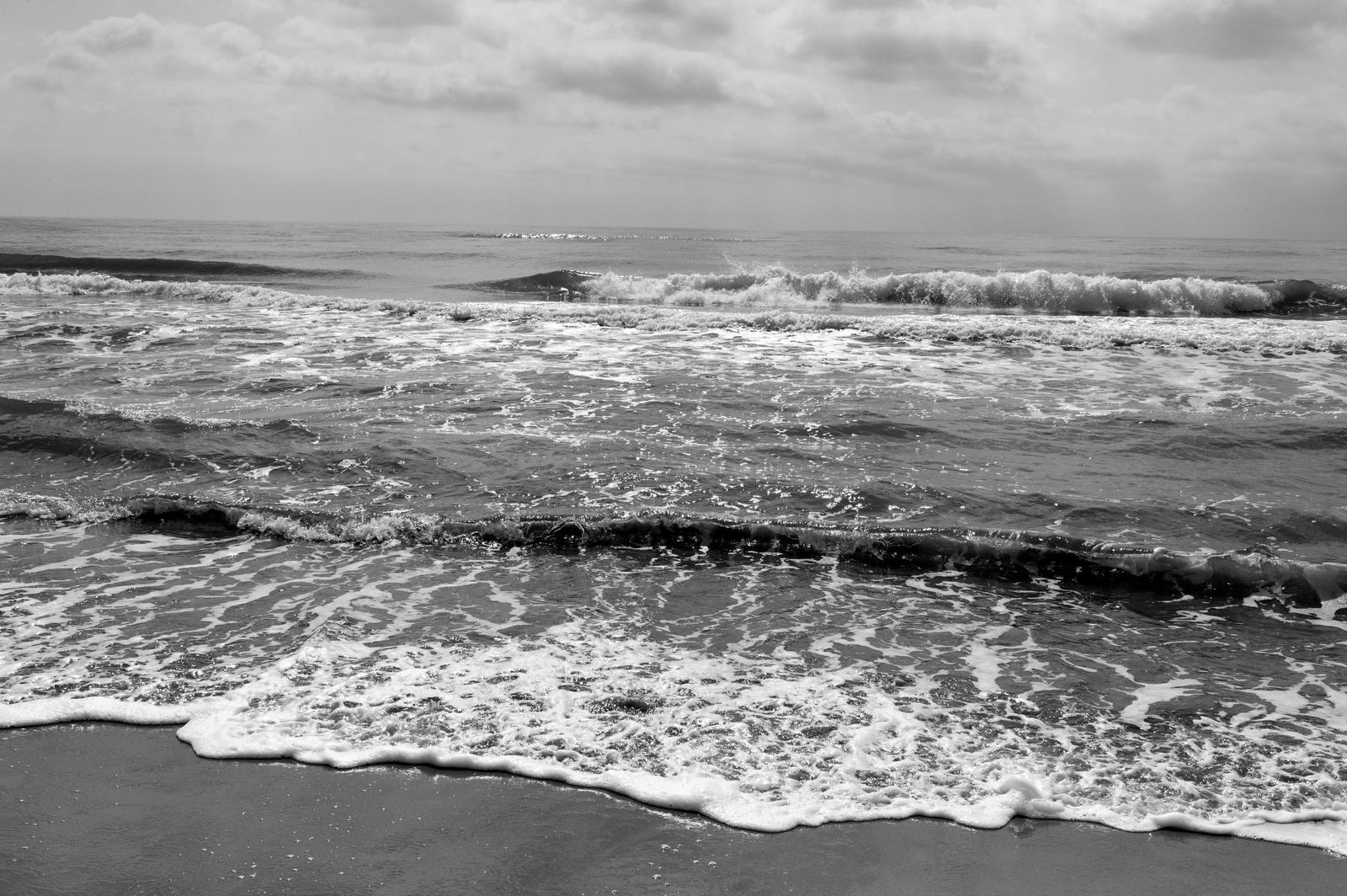 Wild Camargue, image 16