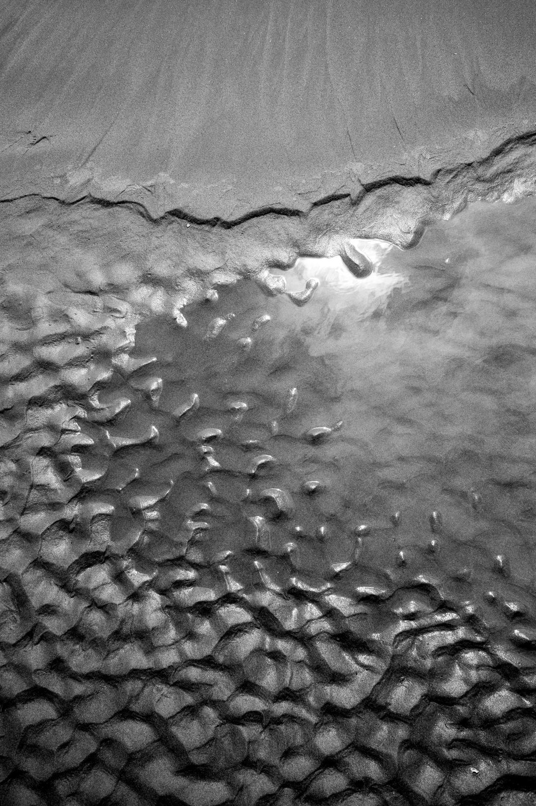 Wild Camargue, image 17