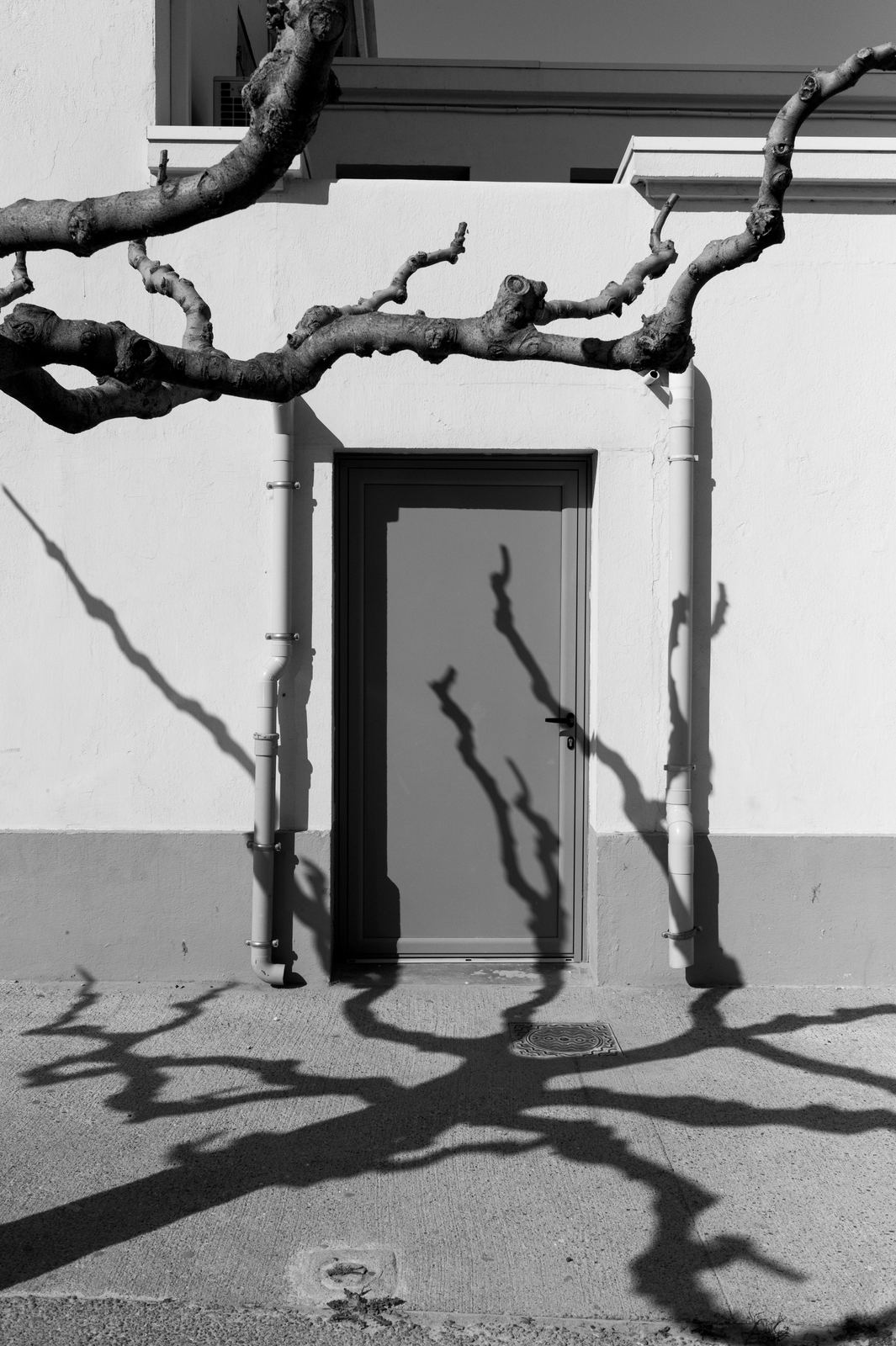 Wild Camargue, image 18
