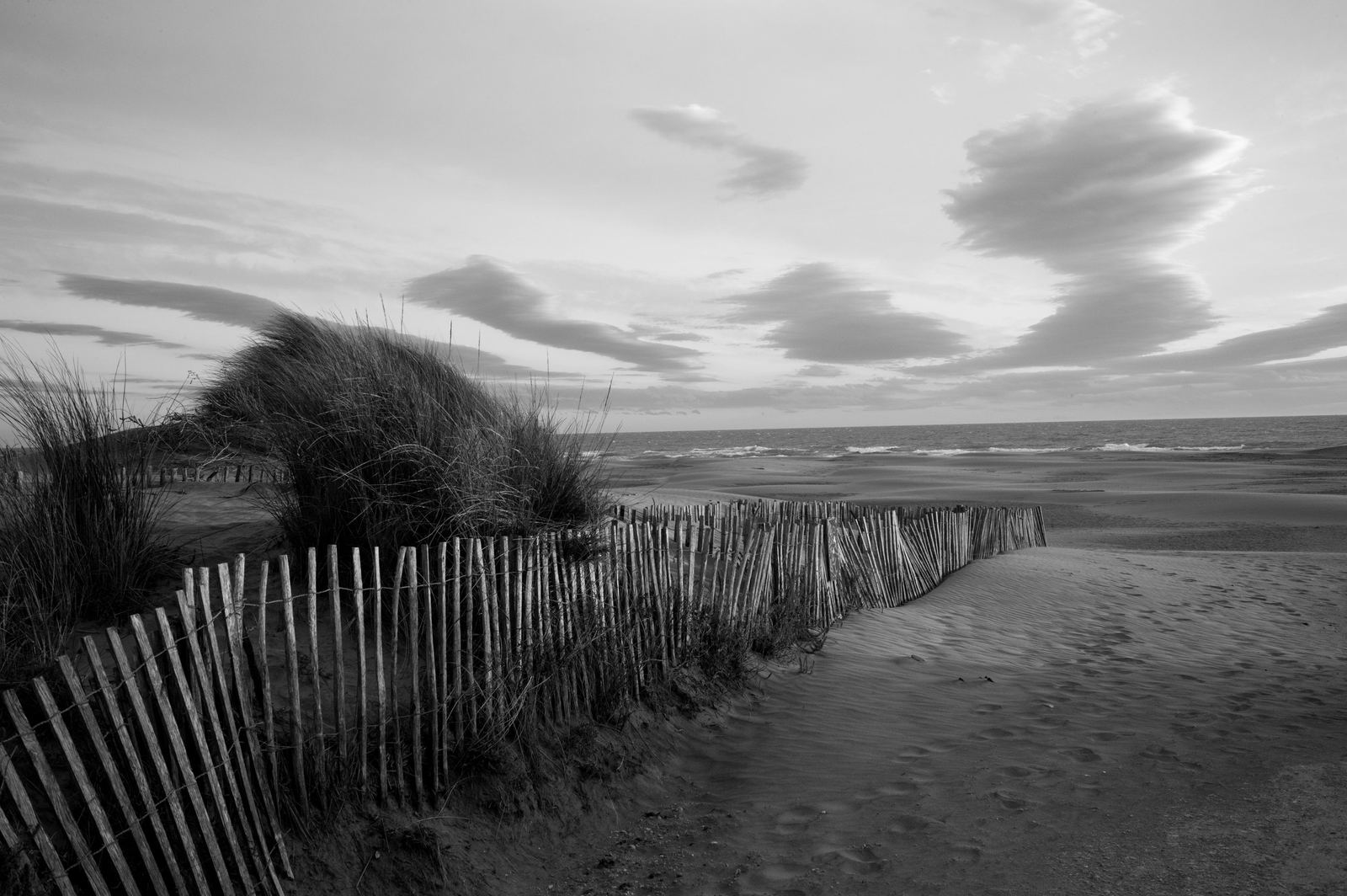 Wild Camargue, image 20