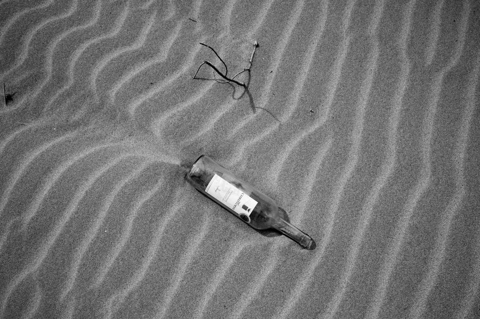 Wild Camargue, image 21